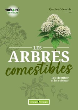 Les arbres comestibles - Les identifier et les cuisiner