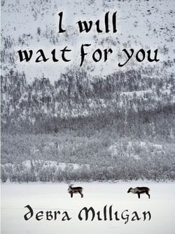 I Will Wait for You