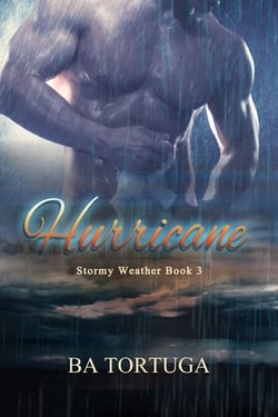 Hurricane - Stormy Weather, #3