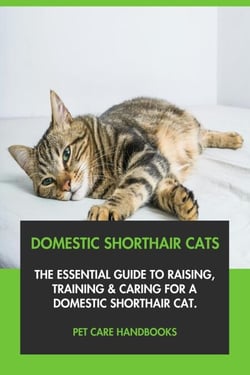 Domestic Shorthair Cats: The Essential Guide to Raising, Training &amp; Caring for A Domestic Shorthair Cat.