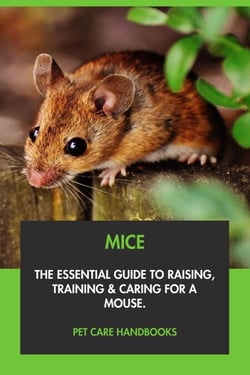 Mice: The Essential Guide to Raising, Training &amp; Caring for A Mouse.