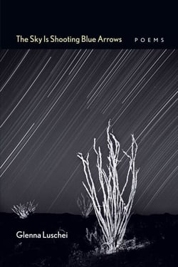 The Sky Is Shooting Blue Arrows - Poems