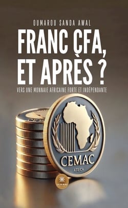 Franc CFA, et après ? - Vers une monnaie africaine forte et indépendante