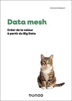 Data Mesh - Créer de la valeur à partir du Big Data