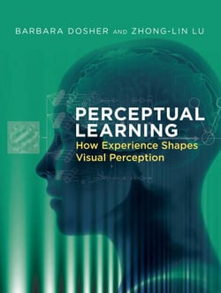 Perceptual Learning - How Experience Shapes Visual Perception