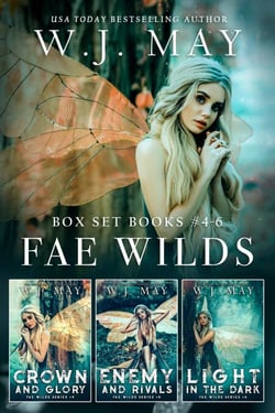 Fae Wilds Box Set Books #4-6 - Fae Wilds Series, #14