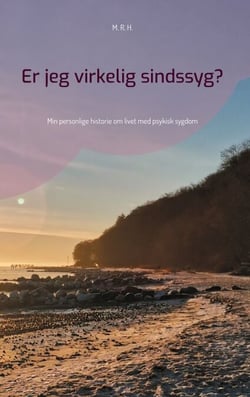 Er jeg virkelig sindssyg? - Min personlige historie om livet med psykisk sygdom