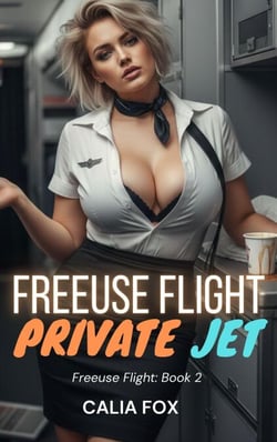 Free Use Flight - Private Jet - Free Use Flights, #2