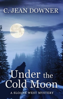 Under the Cold Moon