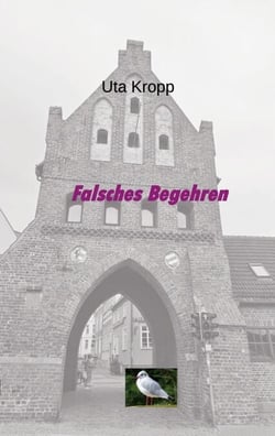 Falsches Begehren
