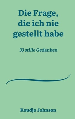Die Frage, die ich nie gestellt habe - 33 stille Gedanken