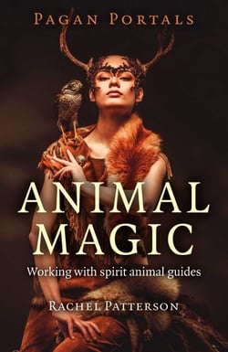 Pagan Portals - Animal Magic - Working With Spirit Animal Guides
