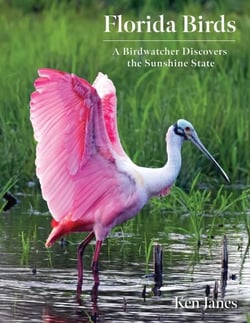 Florida Birds - A Birdwatcher Discovers the Sunshine State