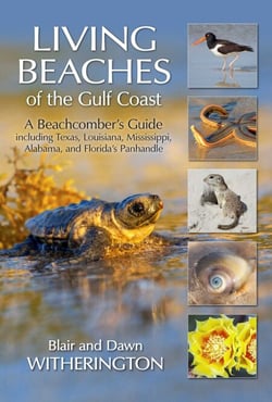 Living Beaches of the Gulf Coast - A Beachcombers Guide including Texas, Louisiana, Mississippi, Alabama and Florida's Panhandle