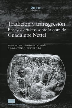 Tradición y transgresión - Ensayos críticos sobre la obra de Guadalupe Nettel