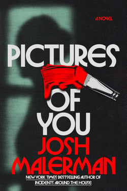 Pictures of You - A Novel