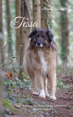Tessa - Vom griechischen Shelter in die Wildnis des Schwarzwaldes