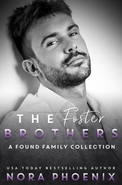 The Foster Brothers: A Found Family Collection - The Foster Brothers