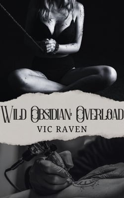 Wild Obsidian: Overload - Wild Obsidian, #3