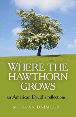 Where the Hawthorn Grows - An American Druid's Reflections