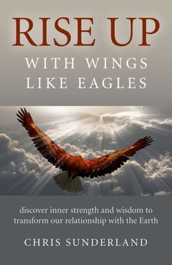 Rise Up - with Wings Like Eagles - Discover Inner Strength and Wisdom to Transform Our Relationship with the Earth