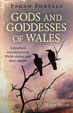 Pagan Portals - Gods and Goddesses of Wales - A Practical Introduction To Welsh Deities And Their Stories