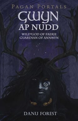 Pagan Portals - Gwyn ap Nudd - Wild God of Faery, Guardian of Annwfn
