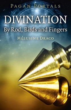 Pagan Portals - Divination - By Rod, Birds and Fingers