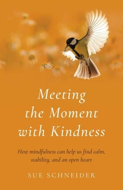 Meeting the Moment with Kindness - How Mindfulness Can Help Us Find Calm, Stability, and an Open Heart
