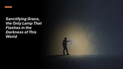 Sanctifying Grace, the Only Lamp That Flashes in the Darkness of This World