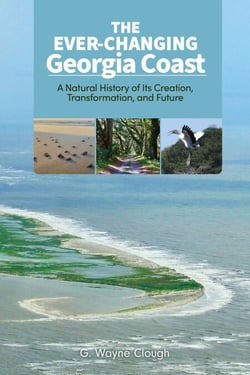 The Ever-Changing Georgia Coast - A Natural History of Its Creation, Transformation, and Future