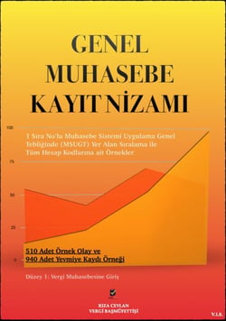 GENEL MUHASEBE KAYIT NİZAMI - Düzey 1, #1