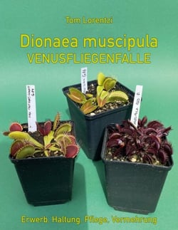 Dionaea muscipula - Venusfliegenfalle