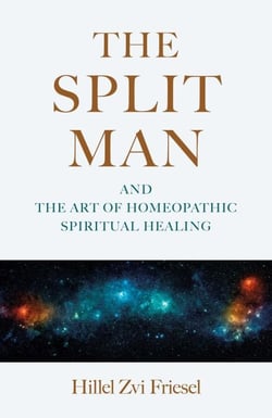 The Split Man - And the Art of Homeopathic Spiritual Healing