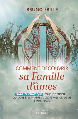 Comment découvrir sa famille d'âmes ? - Manuel pratique pour identifier qui vous êtes vraiment, votre mission de vie et vos dons