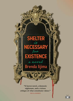 Shelter is Necessary for Existence - A Novel