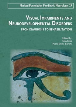 Visual impairments and neurodevelopmental disorders - From diagnosis to rehabilitation