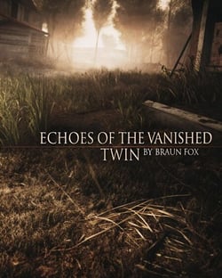 Echoes of the Vanished Twin