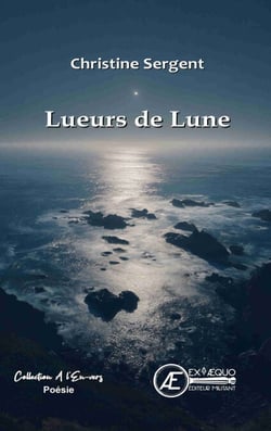 Lueurs de Lune