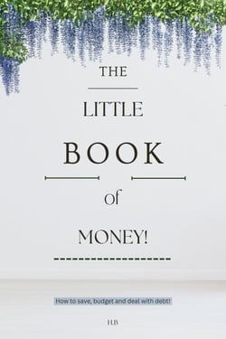 The Little Book of Money - Little Books, Big Change