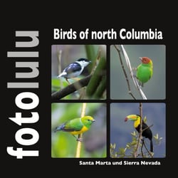 Birds of north Columbia - Santa Marta und Sierra Nevada