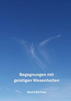 Begegnungen mit geistigen Wesenheiten - Ein spannendes Buch voller interessanter Geschichten und lehrreichen Erkenntnissen über die geistige Welt