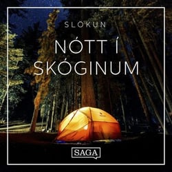 Nótt í skóginum