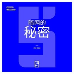 Secrets du dark web (version chinois mandarin)
