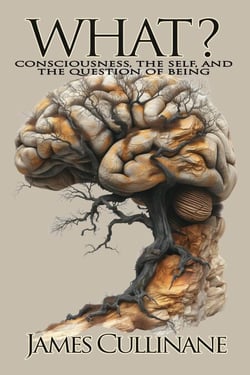 What? Consciousness, the Self, and the Question of Being