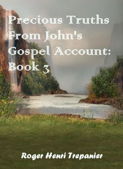 Precious Truths From John's Gospel Account: Book 3 - The Word Of God Library, #51