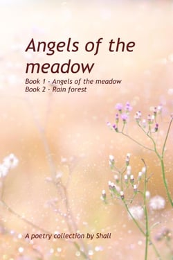 Angels of the Meadow - Books 1 &amp; 2 - Angels of the meadow, #1.1