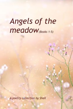 Angels of the Meadow - Books 1-5 - Angels of the meadow, #1