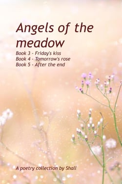 Angels of the Meadow - Books 3-5