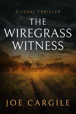 The Wiregrass Witness: A Legal Thriller - Blake County Legal Thrillers, #3